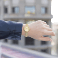 Dámske hodinky Festina Mademoiselle 20745/2