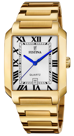 Pánske hodinky Festina Classic 20678/1