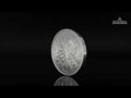Strieborná investičná minca Wiener Philharmoniker 1 Oz 